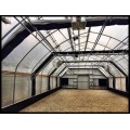 Single span film blackout Light Deprivation greenhouse