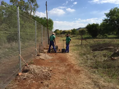 Clear Vu High Security Clearview 358 Anti Climb Fence for Prison