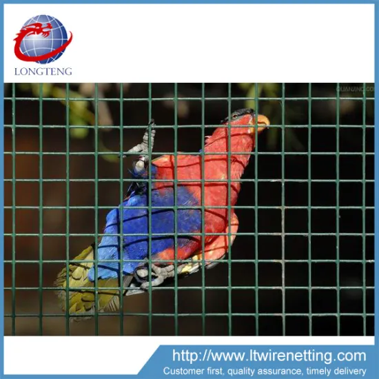 China Supplier Green Welded Bird Cage Mesh