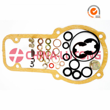 Repair Kit 1 427 010 003(80006) Diesel Injection Seal Kit For Aud