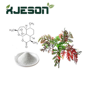 Extract Powder Artemisia Annua