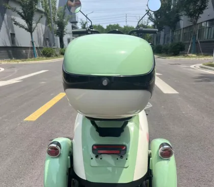 Electric passenger tricycle Cargo Electric Vehicle