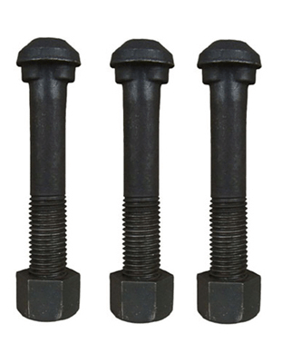 Fish Bolts