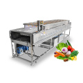 Máquina de limpeza de frutas de equipamento de frutas