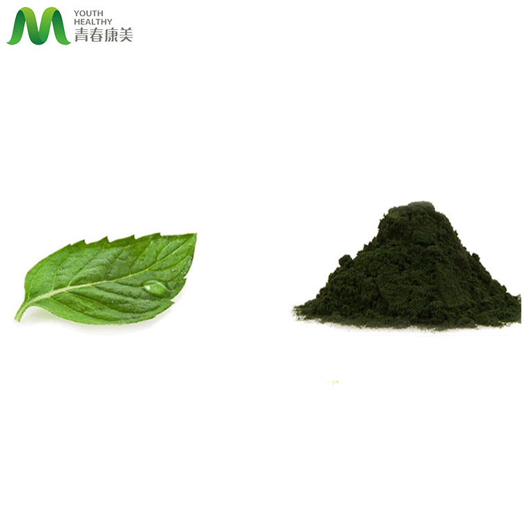 Best Chlorophyll Powder Bulk Competitive Price