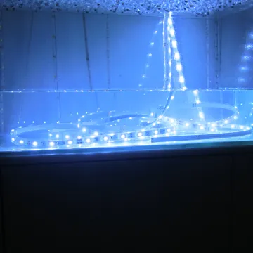 DC12V  waterproof Led Strips  5050SMD