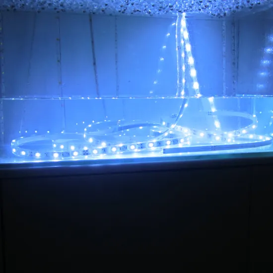 Waterproof Led Rope Lighting Around Pool
