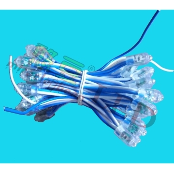 Miracle Bean 3G Blue, with CE And RoHS, LED Channel Letter,Rope Light