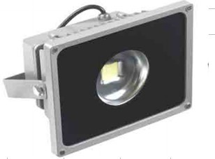 Performance Stability 30W Flood Light