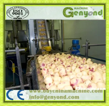 sweet potatoes washing and peeling machine