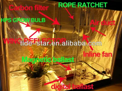 Hydroponics Growing system/Hydroponics system