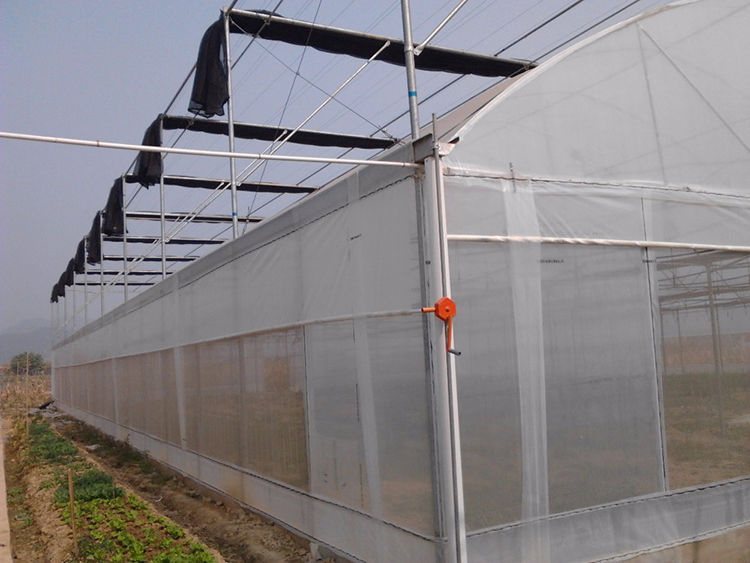 Lamulti Span Pe Film Greenhouse Ventilation