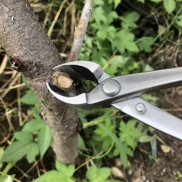 China Factory Cheap Stainless Steel Bonsai Tools Scissors Concave Cutters
