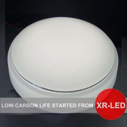 LED Ceiling Light