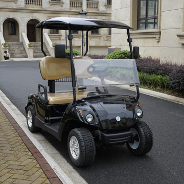 2 kursi gerobak powergolf baterai Lithium ezgo