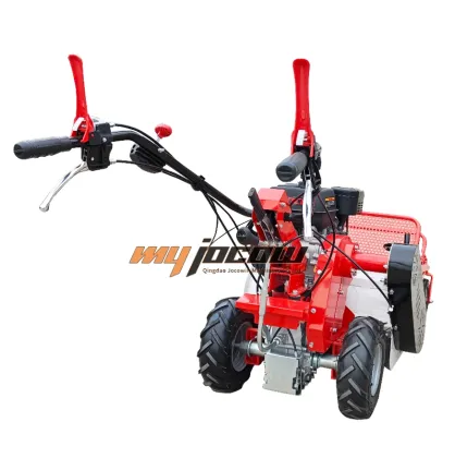 Wholesale Gas Powered Lawn Mowers and Flail Mowers