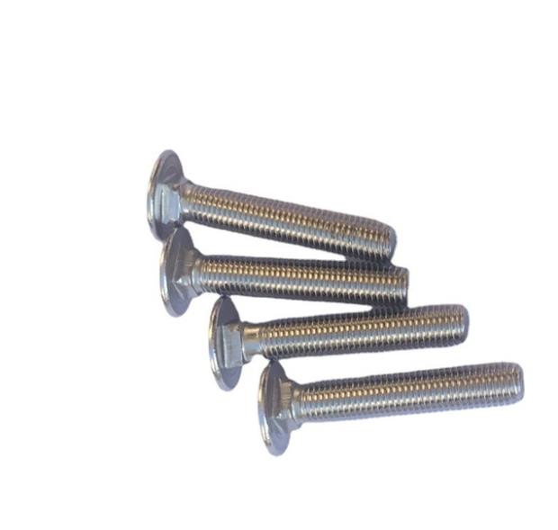 A2 A4 Stainless Steel Carriage Bolt Screw