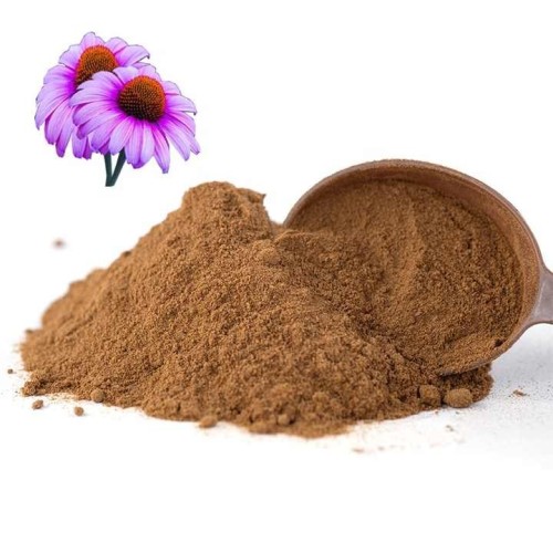 Echinacea Purpurea Extract Echinacea Polyphenols 4%