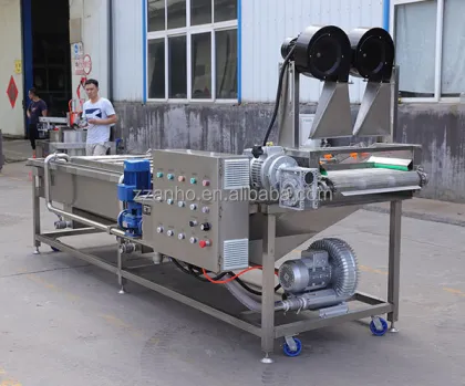 Ultrasonic Vegetable Washing Machine for Fruits like Mango and Strawberry