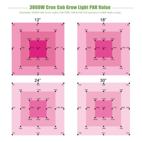 600 Watt Grow Lights für kleines Gewächshaus