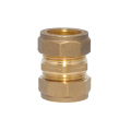 Brass PE-PPR compression straight fitting
