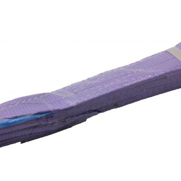 Purple Color Polyester Flat Webbing Sling