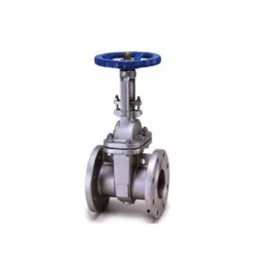ANSI 150 Stainless Steel Gate Valve