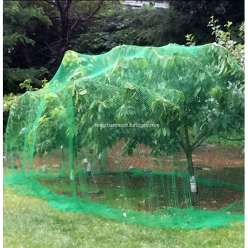 Arbre de protection en plastique