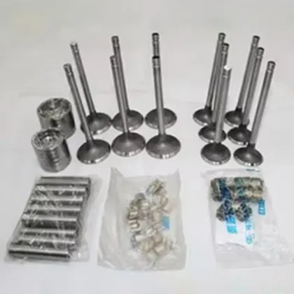 Comprehensive Sealing Solutions: Gearbox, Crankshaft & Rubber Oil Seals