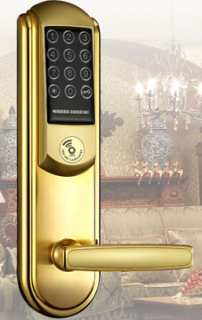 Combination Lock-E1-Champaign Gold