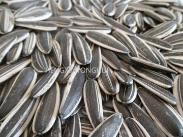 Sunflower Seeds 601/ Sunflower Inshells 601
