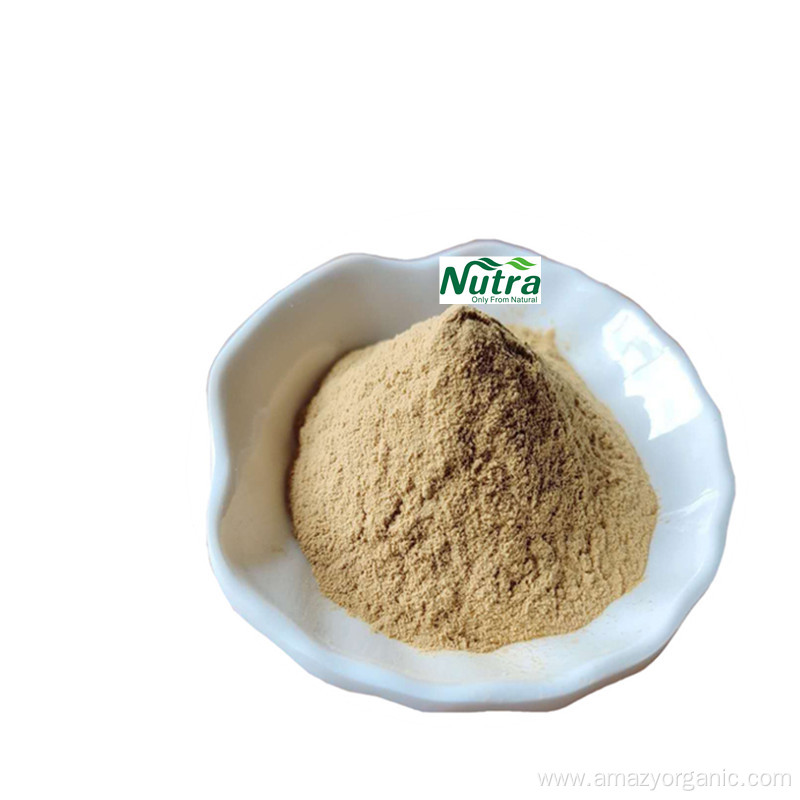 Hot Selling Organic Lemon Extract Powder