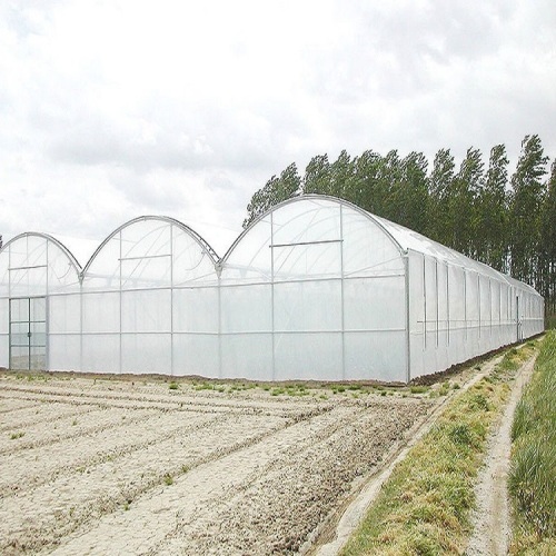 Reinforced Commercial Plastic Greenhouse with Equipment