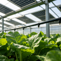 Invernadero agrícola fotovoltaico para cultivo interior