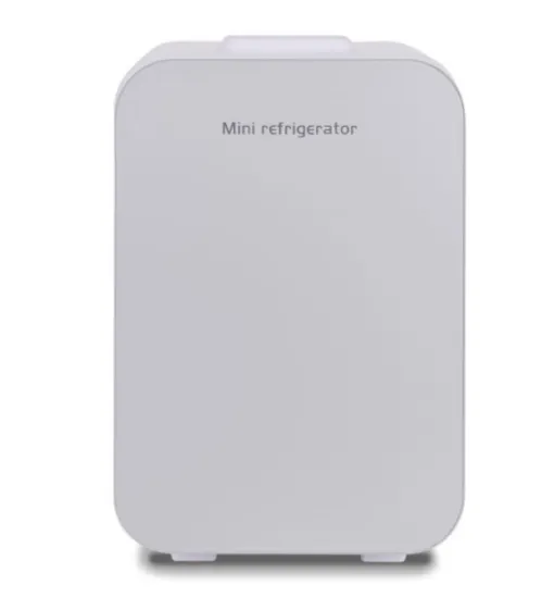 2022 New Arrival 10L Fridge Household Hotel Refrigerator