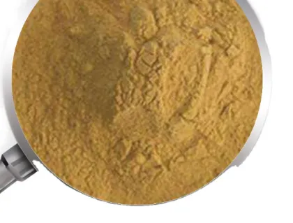 coffee bean extract for weight loss coffee bean