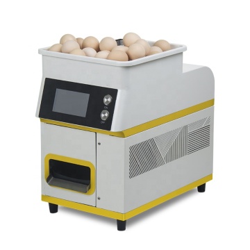 Commercial Electric Automatic Egg Cooking and Frying Machine