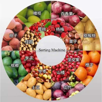 Automated Date Sorting and Grading Machine for Palm Dates and Red Dates