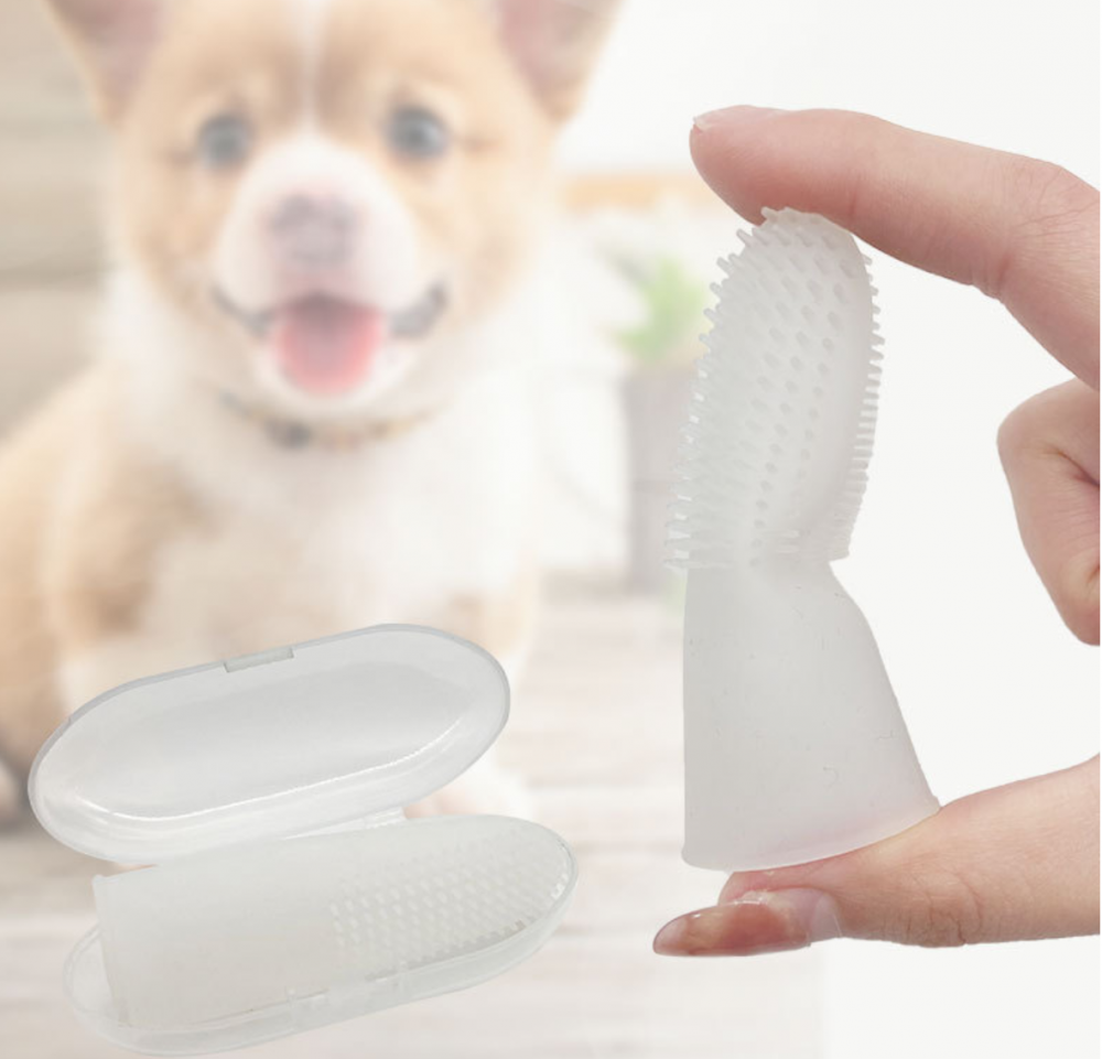 Pet Toothbrush