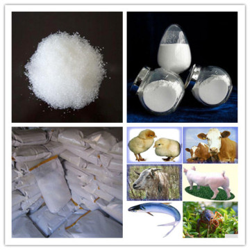 High Quality and Low Price Feed Additive Betaine 98%