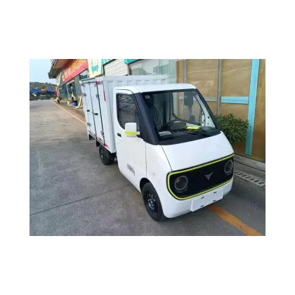 D02 van-type comfortable electric vehicle