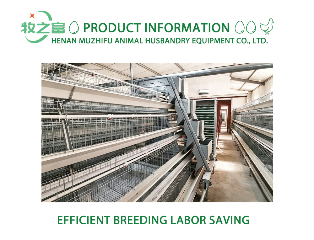 Step-Type Layer Cage System X