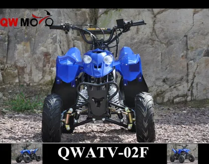 QWMOTO CE 50cc 110cc 125cc China polaris style ATV 110cc Kids polaris ATV
