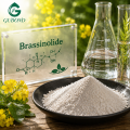 Regulador del crecimiento vegetal en polvo de brassinolida de alta pureza