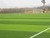 W shaped hybrid grass for sports field