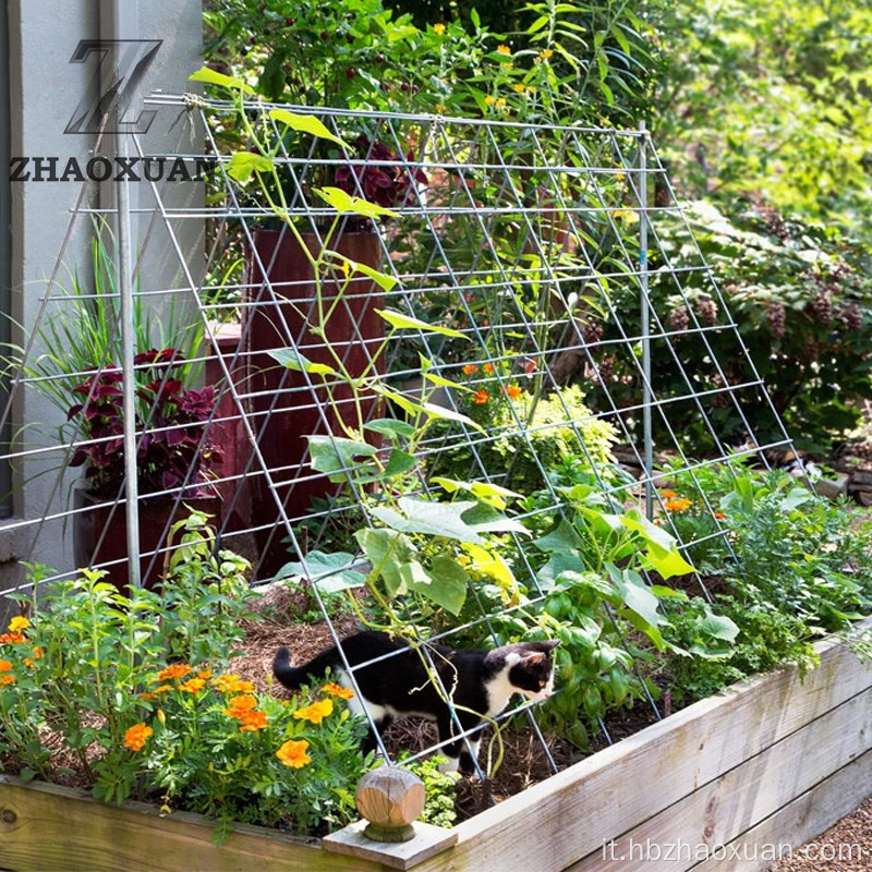 Vendita calda in rete di filo saldato anti-russo