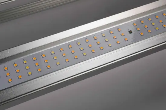 Best Affordable Led Grow Light for Indoor Plant