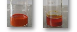 lUTEIN OIL