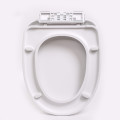 Watermark Smart Vagina Bidet Asiento de inodoro inteligente