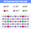 165 Watt PHLIZON LED Aquarium Licht für Fische